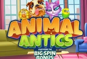 Animal Antics