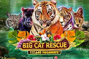 Big Cat Rescue Megaways